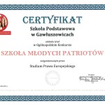 certyfikat 2019-1