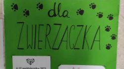Paczka dla zwierzaczka