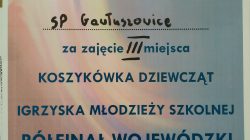 SP Gawłuszowice siódmą szkołą na Podkarpaciu w koszykówce dziewcząt