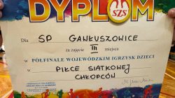 SP Gawłuszowice siódmą szkołą w województwie w piłce siatkowej