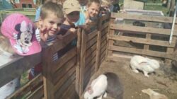 Wycieczka przedszkolaków do Farmy przy Wale